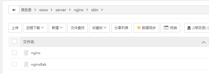 宝塔面板或Nginx挂马(修复)解决方案-心仪评测