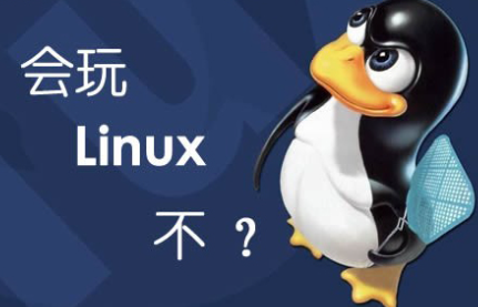 探秘Linux:从初学者到高手的进阶之路-心仪评测